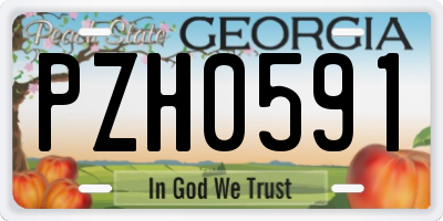GA license plate PZH0591