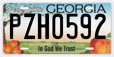 GA license plate PZH0592