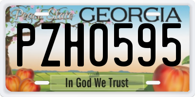 GA license plate PZH0595