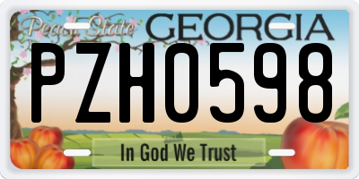 GA license plate PZH0598