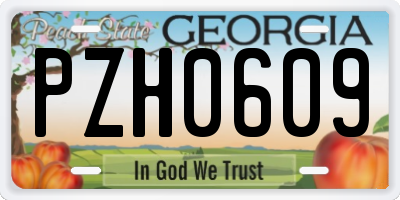 GA license plate PZH0609