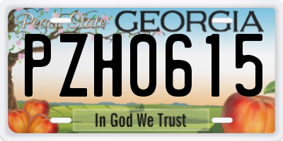 GA license plate PZH0615