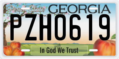 GA license plate PZH0619