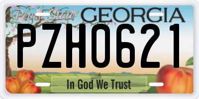 GA license plate PZH0621