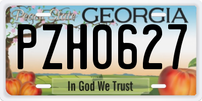 GA license plate PZH0627