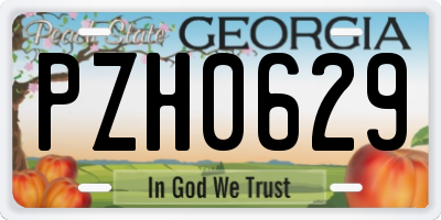 GA license plate PZH0629