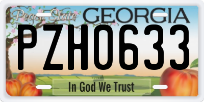 GA license plate PZH0633