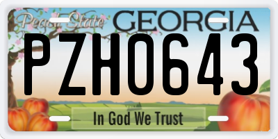 GA license plate PZH0643
