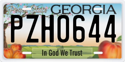 GA license plate PZH0644