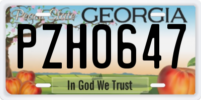 GA license plate PZH0647