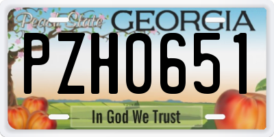 GA license plate PZH0651