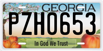GA license plate PZH0653