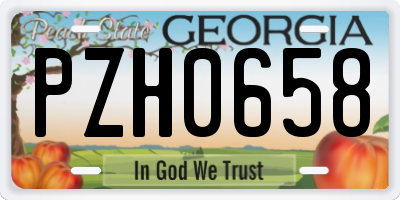 GA license plate PZH0658