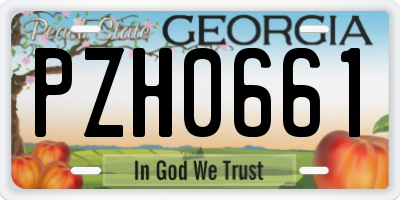 GA license plate PZH0661