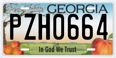 GA license plate PZH0664