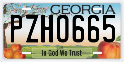 GA license plate PZH0665