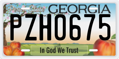 GA license plate PZH0675