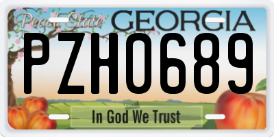 GA license plate PZH0689