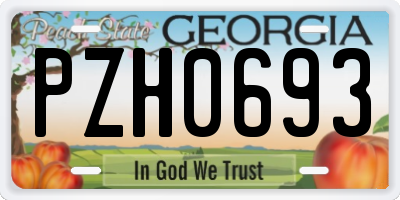 GA license plate PZH0693