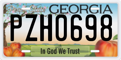 GA license plate PZH0698
