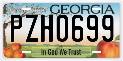 GA license plate PZH0699