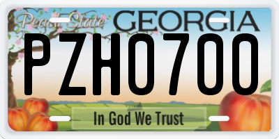GA license plate PZH0700