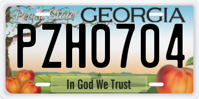 GA license plate PZH0704