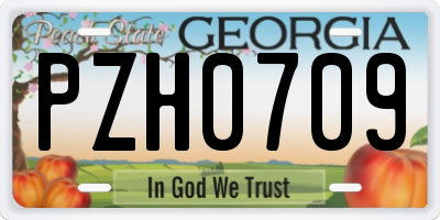 GA license plate PZH0709