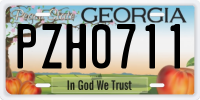 GA license plate PZH0711