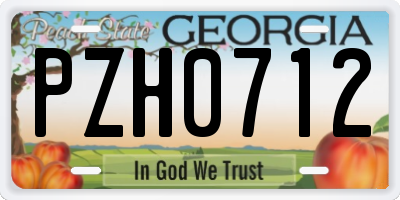GA license plate PZH0712
