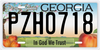 GA license plate PZH0718