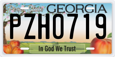 GA license plate PZH0719