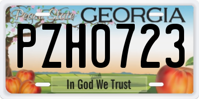 GA license plate PZH0723