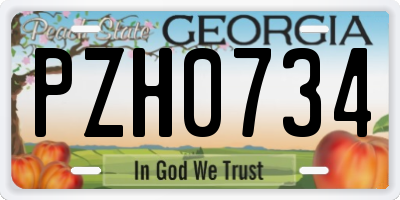 GA license plate PZH0734