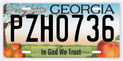 GA license plate PZH0736