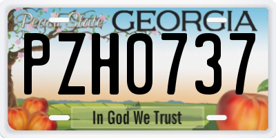 GA license plate PZH0737