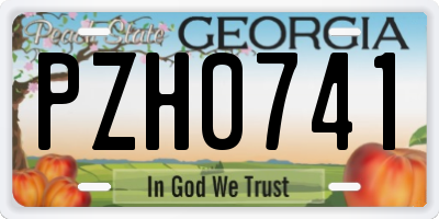 GA license plate PZH0741