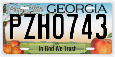 GA license plate PZH0743