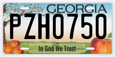 GA license plate PZH0750