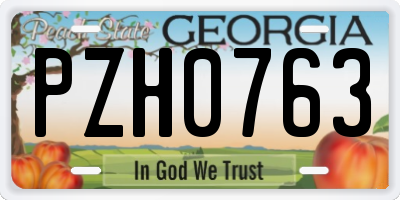 GA license plate PZH0763