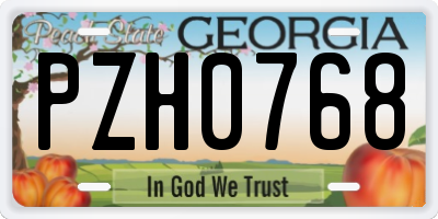 GA license plate PZH0768