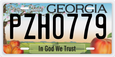GA license plate PZH0779