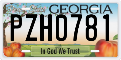GA license plate PZH0781