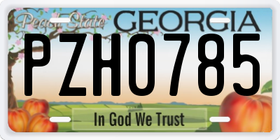 GA license plate PZH0785