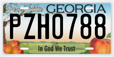 GA license plate PZH0788