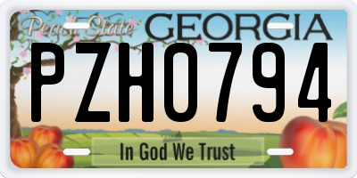 GA license plate PZH0794