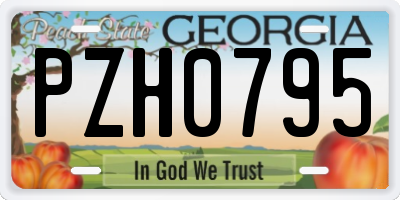 GA license plate PZH0795