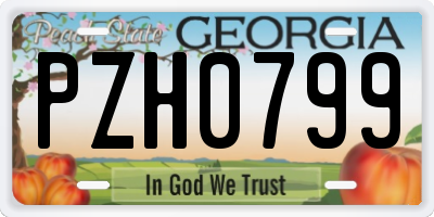 GA license plate PZH0799