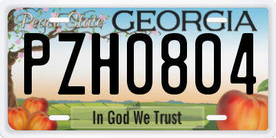 GA license plate PZH0804