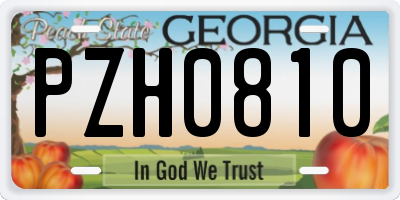 GA license plate PZH0810